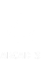 arcades icon